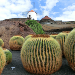 Lanzarote: trekking e geologo